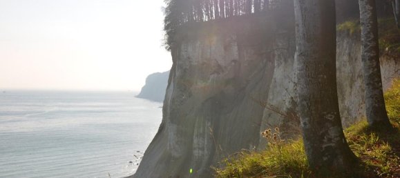 استوديو في Vorpommern-Rugen, Germany رقم 267019 14