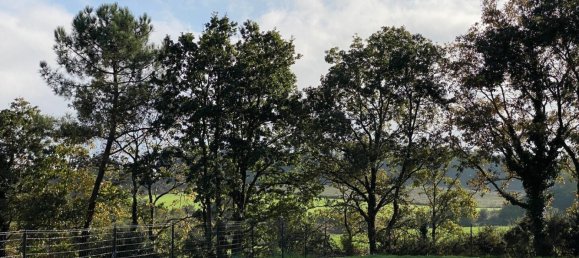 3 bedrooms Villa in Herbignac, France No. 106282 8