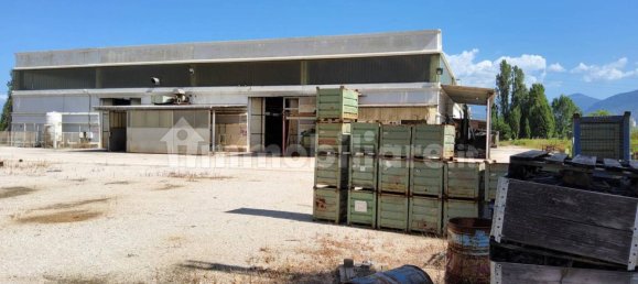 5 rooms Warehouse in Latina, Italy No. 203008 5