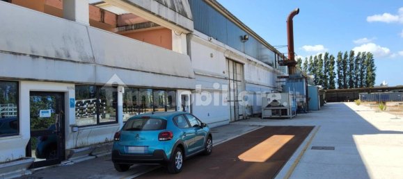 5 rooms Warehouse in Latina, Italy No. 203008 34
