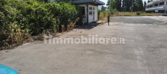 5 rooms Warehouse in Latina, Italy No. 203008 31