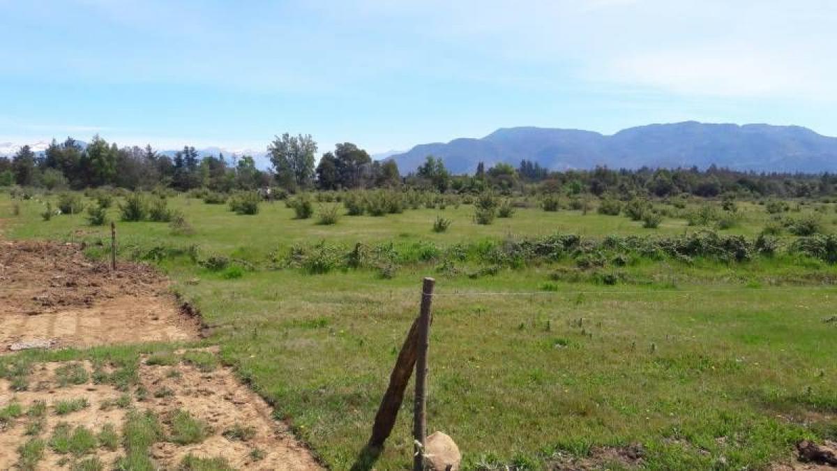  قطعة أرض في Maule, Chile رقم 1310