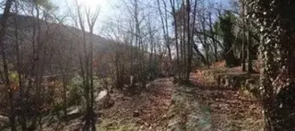 Grundstück in Coaraze, France 1565m², Nr. 102069 7