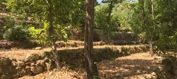 Grundstück in Coaraze, France 1565m², Nr. 102069 3