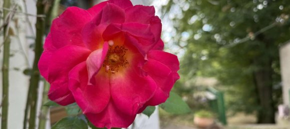 9 bedrooms House in Leipzig, Germany No. 328793 37