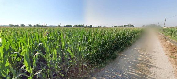 7330m² Land in Castiglione delle Stiviere, Italy No. 303574 4