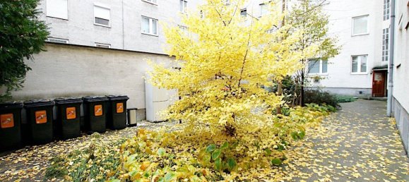 2 rooms Apartment in Favoriten, Austria No. 156376 6