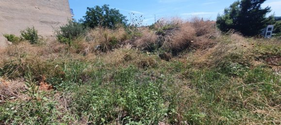 1000m² Hotel in Chalkidiki, Greece No. 3561 3