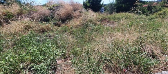 1000m² Hotel in Chalkidiki, Greece No. 3561 2