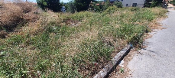 1000m² Hotel in Chalkidiki, Greece No. 3561 4