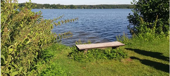 Terrain à Dahme-Spreewald, Germany No. 106447 3