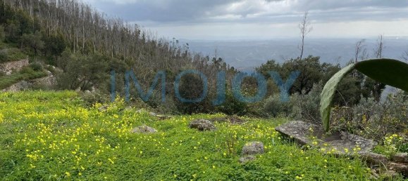 120000m² Land in Monchique, Portugal No. 83249 2
