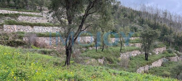 120000m² Land in Monchique, Portugal No. 83249 5