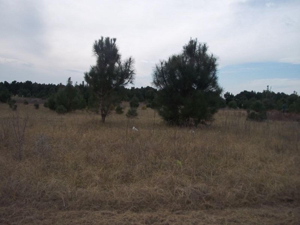  Land in Mar del Plata, Argentina No. 117254