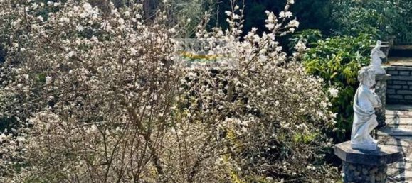 Вилла с 8 комнатами в Брикеразио, Италия № 124862 33