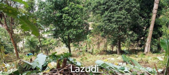  Commercial property in Kathu, Thailand No. 24221 4