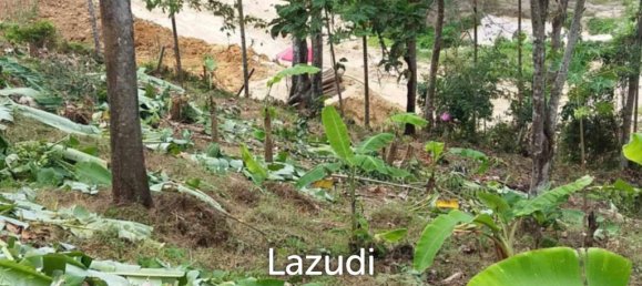  Commercial property in Kathu, Thailand No. 24221 6