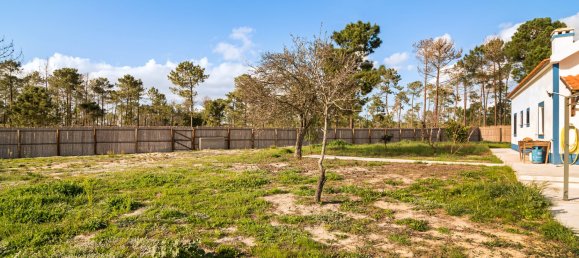 5 غرف نوم قطعة أرض في Alcacer do Sal, Portugal رقم 101127 17