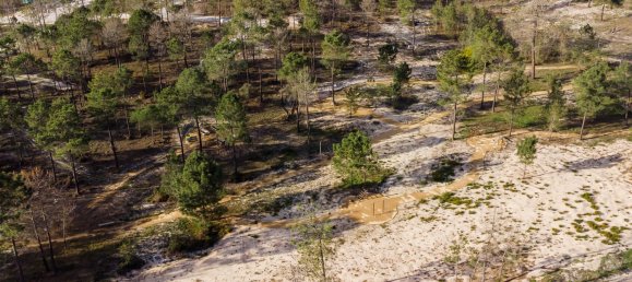 5 غرف نوم قطعة أرض في Alcacer do Sal, Portugal رقم 101127 2