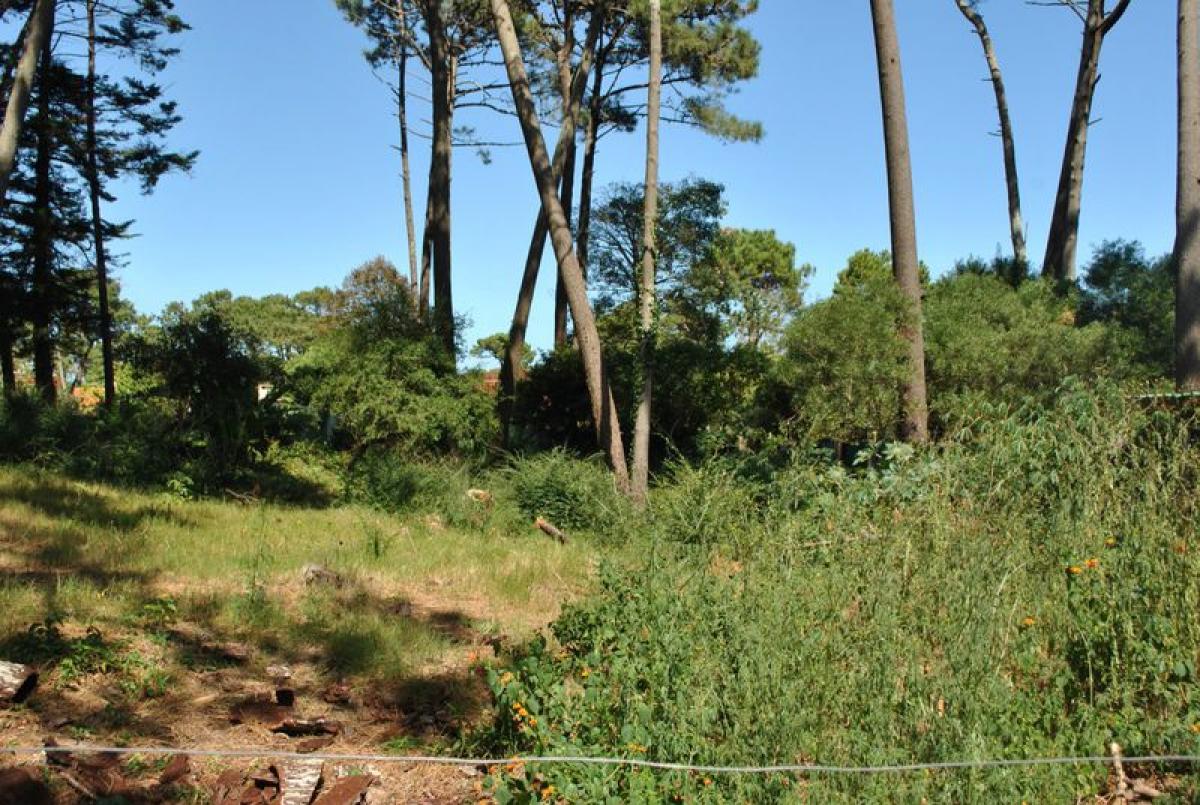 Grundstück in Maldonado, Uruguay, Nr. 15750