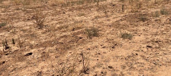 Grundstück in Ciudad Real, Spain 700000m², Nr. 139408 25