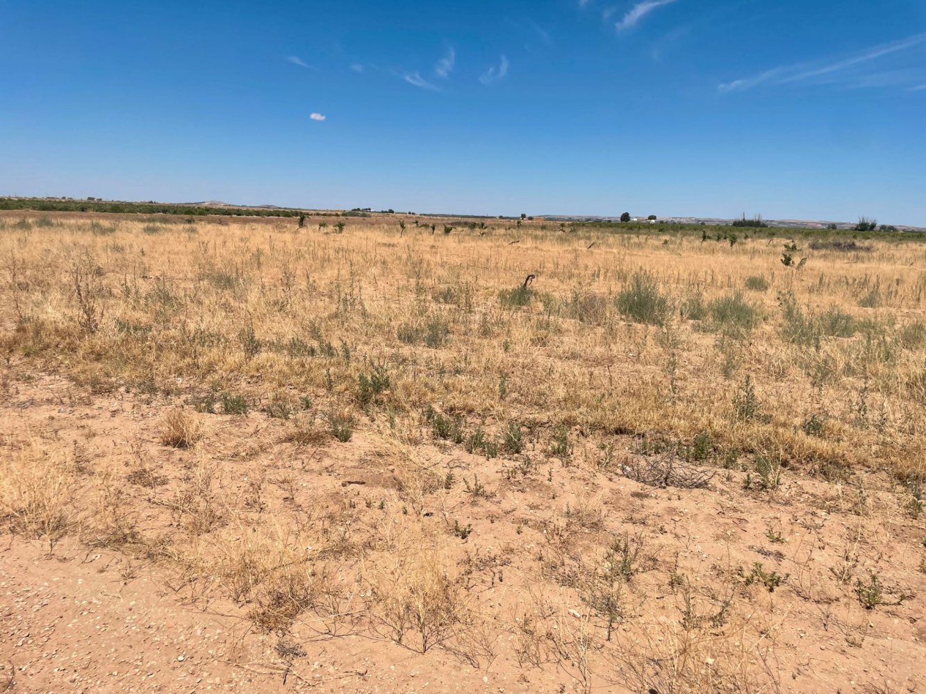 Grundstück in Ciudad Real, Spain 700000m², Nr. 139408