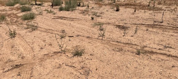 Grundstück in Ciudad Real, Spain 700000m², Nr. 139408 16