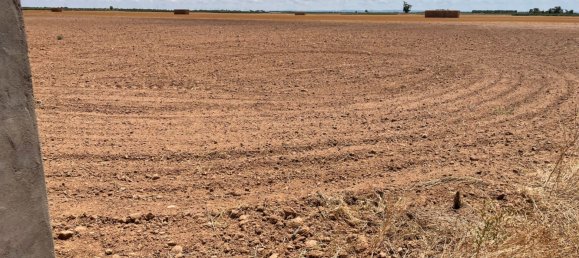 Grundstück in Ciudad Real, Spain 700000m², Nr. 139408 36