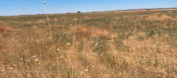 Grundstück in Ciudad Real, Spain 700000m², Nr. 139408 33