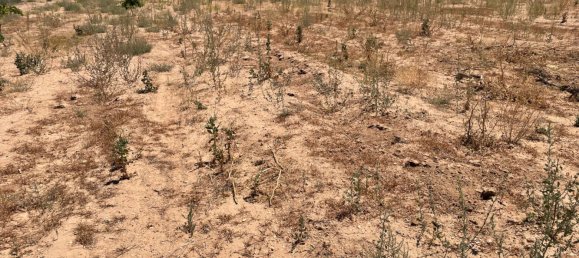 Grundstück in Ciudad Real, Spain 700000m², Nr. 139408 11