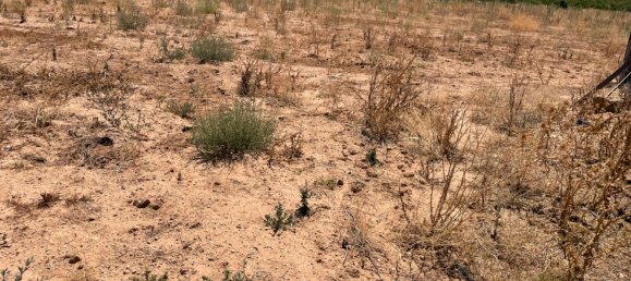 Grundstück in Ciudad Real, Spain 700000m², Nr. 139408 24