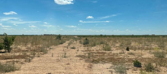 Grundstück in Ciudad Real, Spain 700000m², Nr. 139408 26