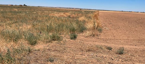 Grundstück in Ciudad Real, Spain 700000m², Nr. 139408 29