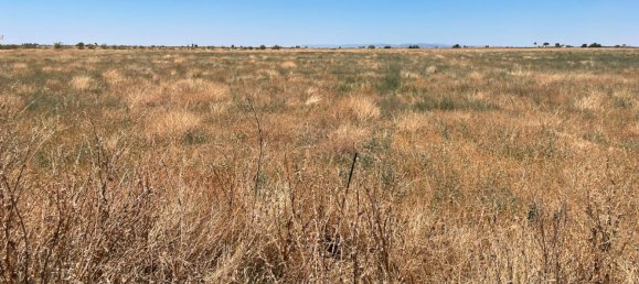 Grundstück in Ciudad Real, Spain 700000m², Nr. 139408 31