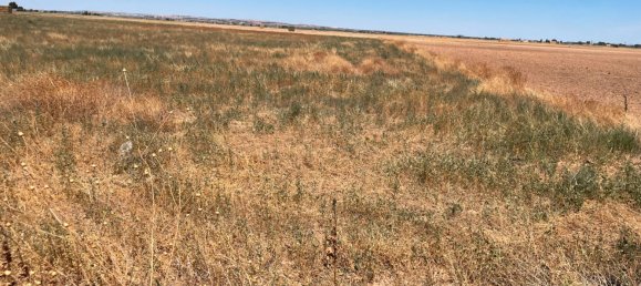 Grundstück in Ciudad Real, Spain 700000m², Nr. 139408 32