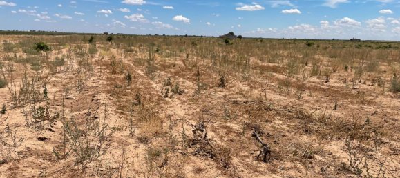 Grundstück in Ciudad Real, Spain 700000m², Nr. 139408 10