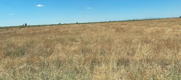 Grundstück in Ciudad Real, Spain 700000m², Nr. 139408 5