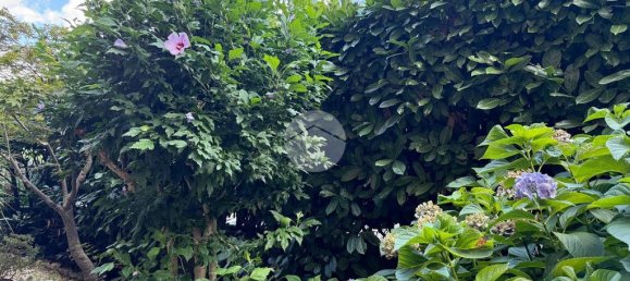 1 bedroom Apartment in Viterbo, Italy No. 273406 32