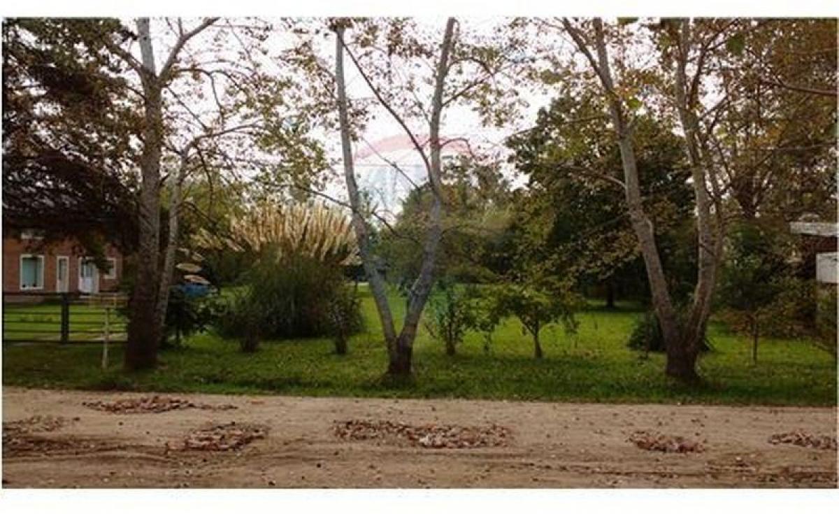 1 Schlafzimmer Grundstück in Campo Creado, Argentina, Nr. 37883