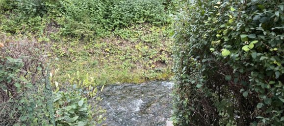 1 bedroom House in Unstrut-Hainich-Kreis, Germany No. 284292 6