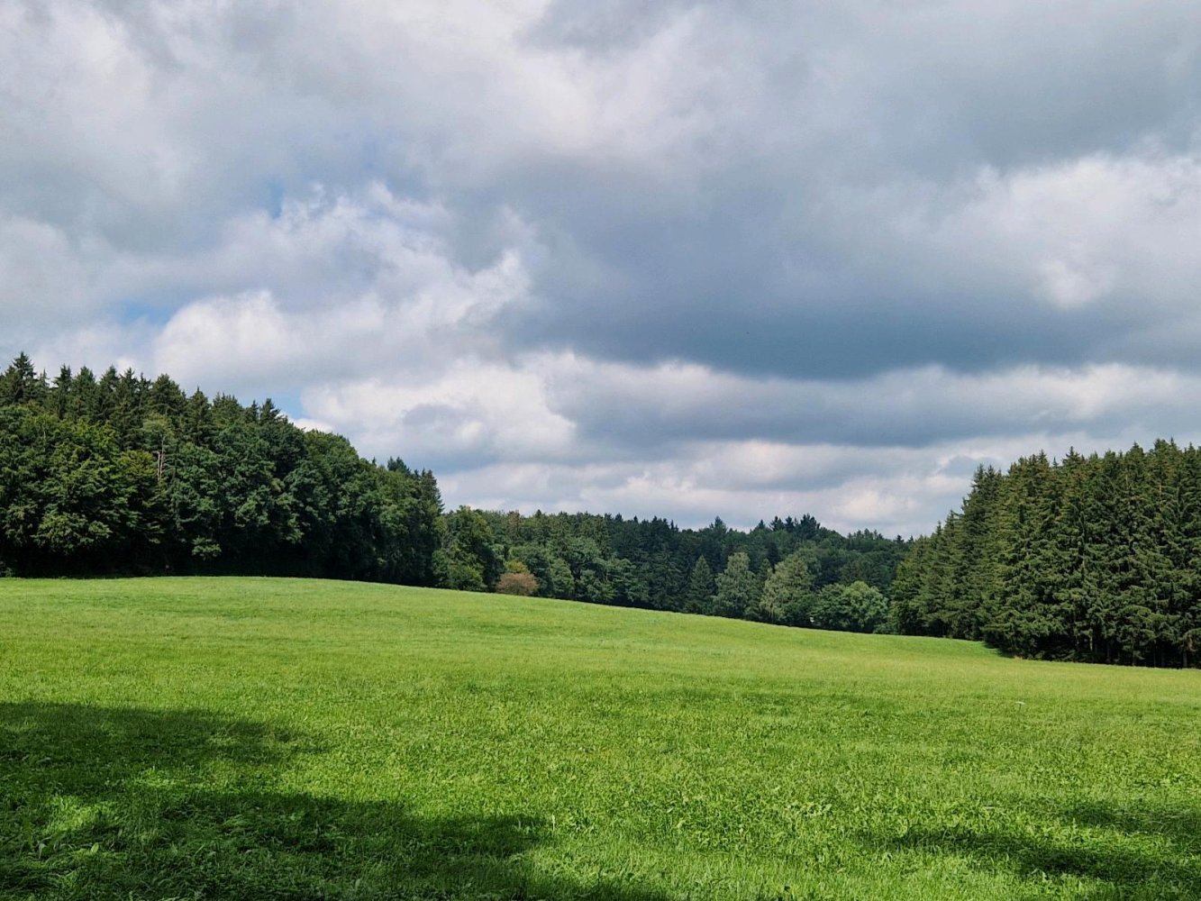 Земельный участок в Нижний Алльгой, Германия № 316560