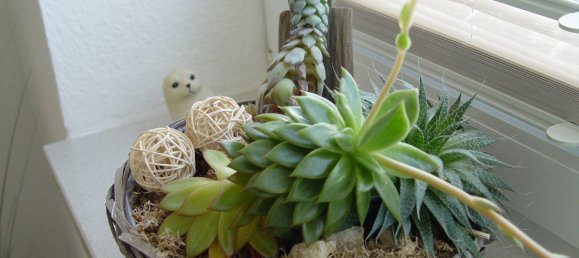 Apartamento T1 em Cuxhaven, Germany N.º 218425 14