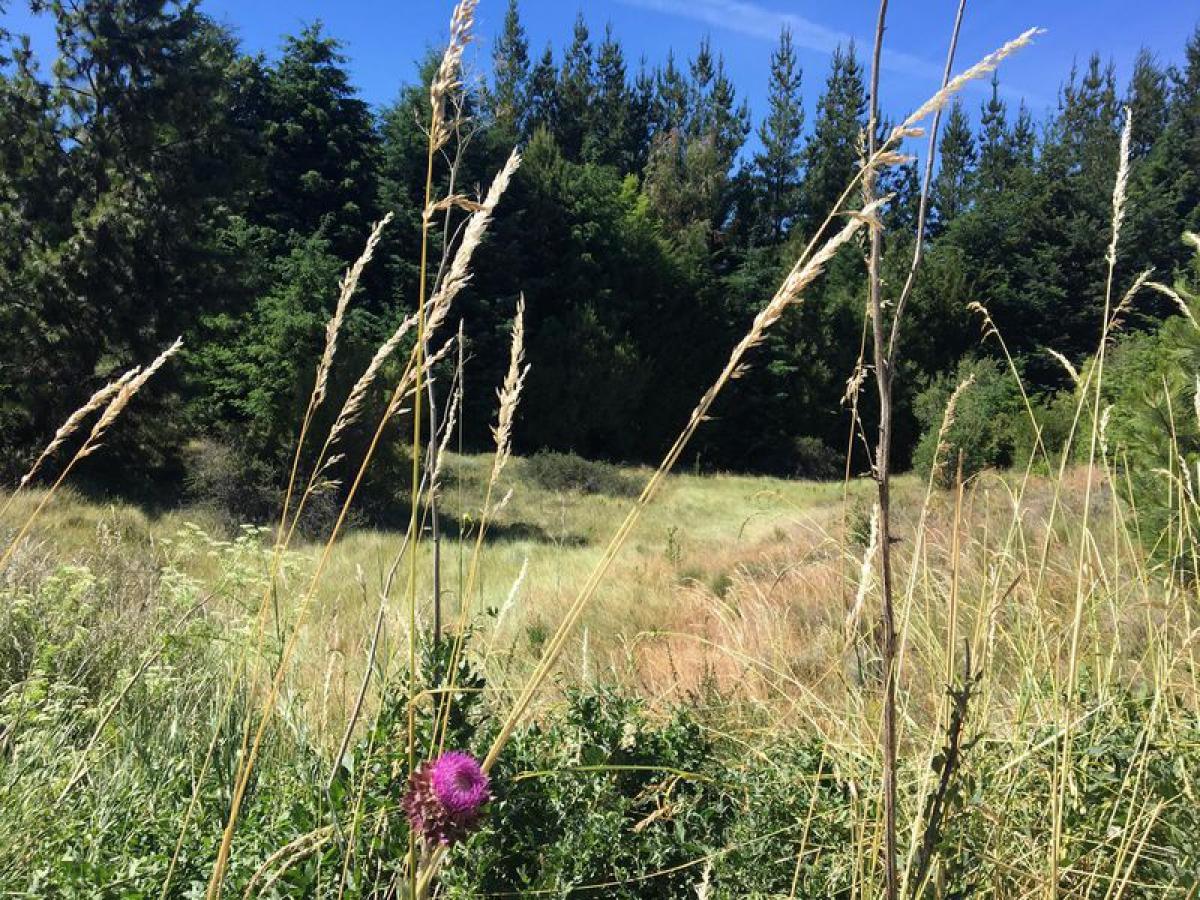  قطعة أرض في Chubut, Argentina رقم 50389