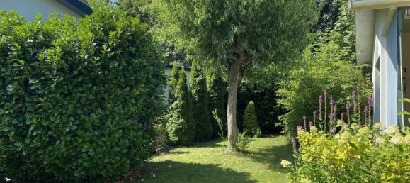 Земельный участок 787м² в Гётцендорф ан дер Лайта, Австрия № 190958 10