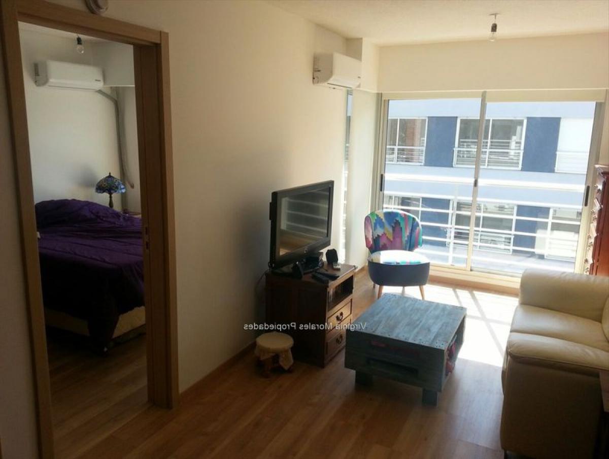 Estúdio em Montevideo, Uruguay N.º 10830