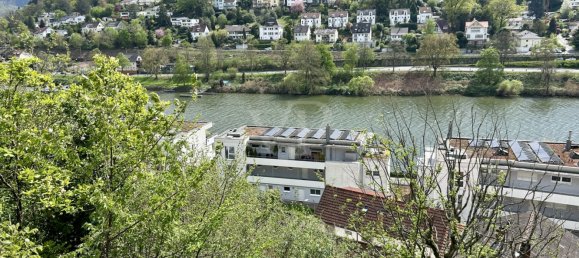 Вилла с 5 спальнями в Гейдельберг, Германия № 72528 16