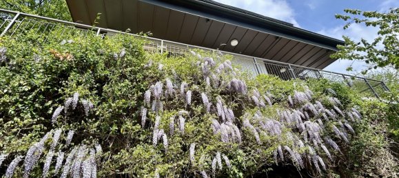 Вилла с 5 спальнями в Гейдельберг, Германия № 72528 15