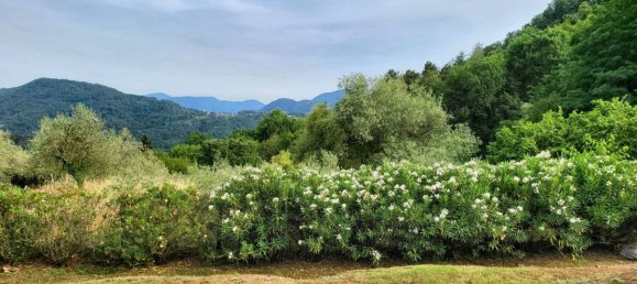 Дом с 8 спальнями в Камайоре, Италия № 377448 7