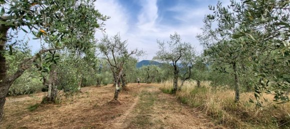 Дом с 8 спальнями в Камайоре, Италия № 377448 4