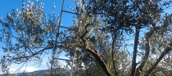 Casa T1 em Markisch-Oderland, Germany N.º 283789 9